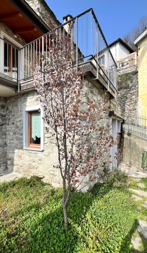 die_weinrose_207